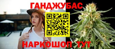 крисы Ставрополь