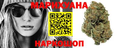 крисы Ставрополь