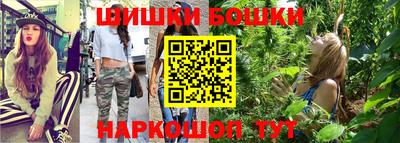 крисы Ставрополь