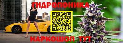 крисы Ставрополь