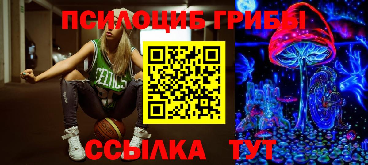 Ноябрьск  Псилоцибиновые грибы GOLDEN TEACHER  Псилоцибиновые грибы GOLDEN TEACHER  Вход с VPN 