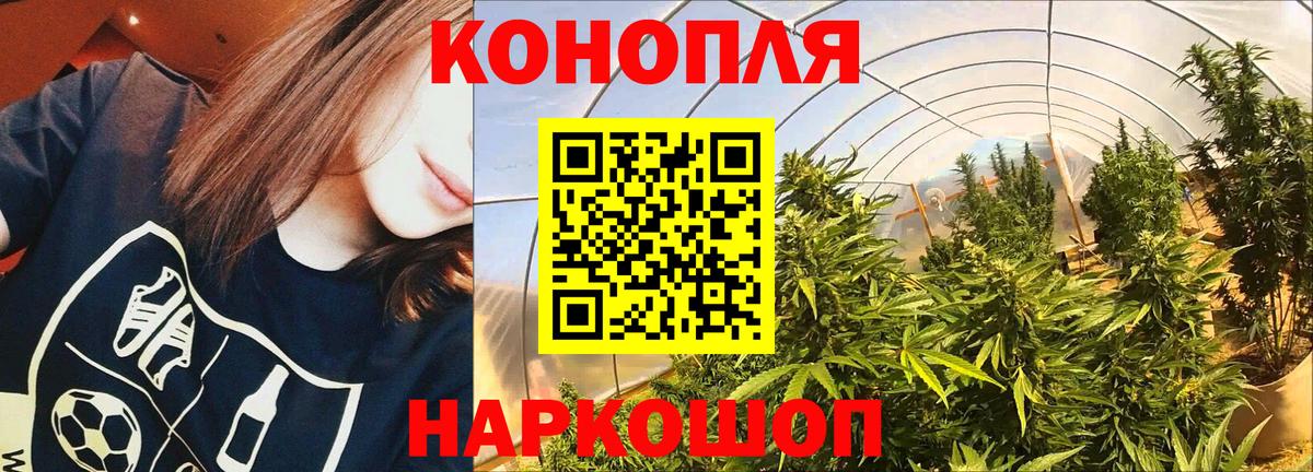 Бошки марихуана MAZAR Ноябрьск